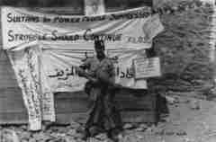 ���� ������ ��� ��� ����